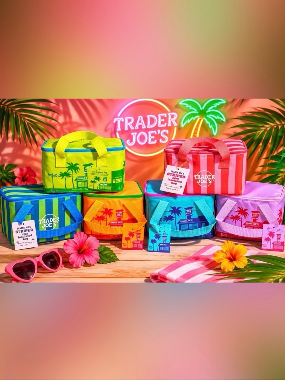 Trader Joe's Pink Striped Insulated Travel Bag